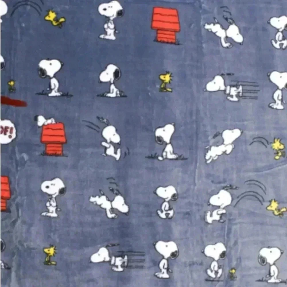 Snoopy and Woodstock play throw Berkshire Peanuts. Very pretty. New
